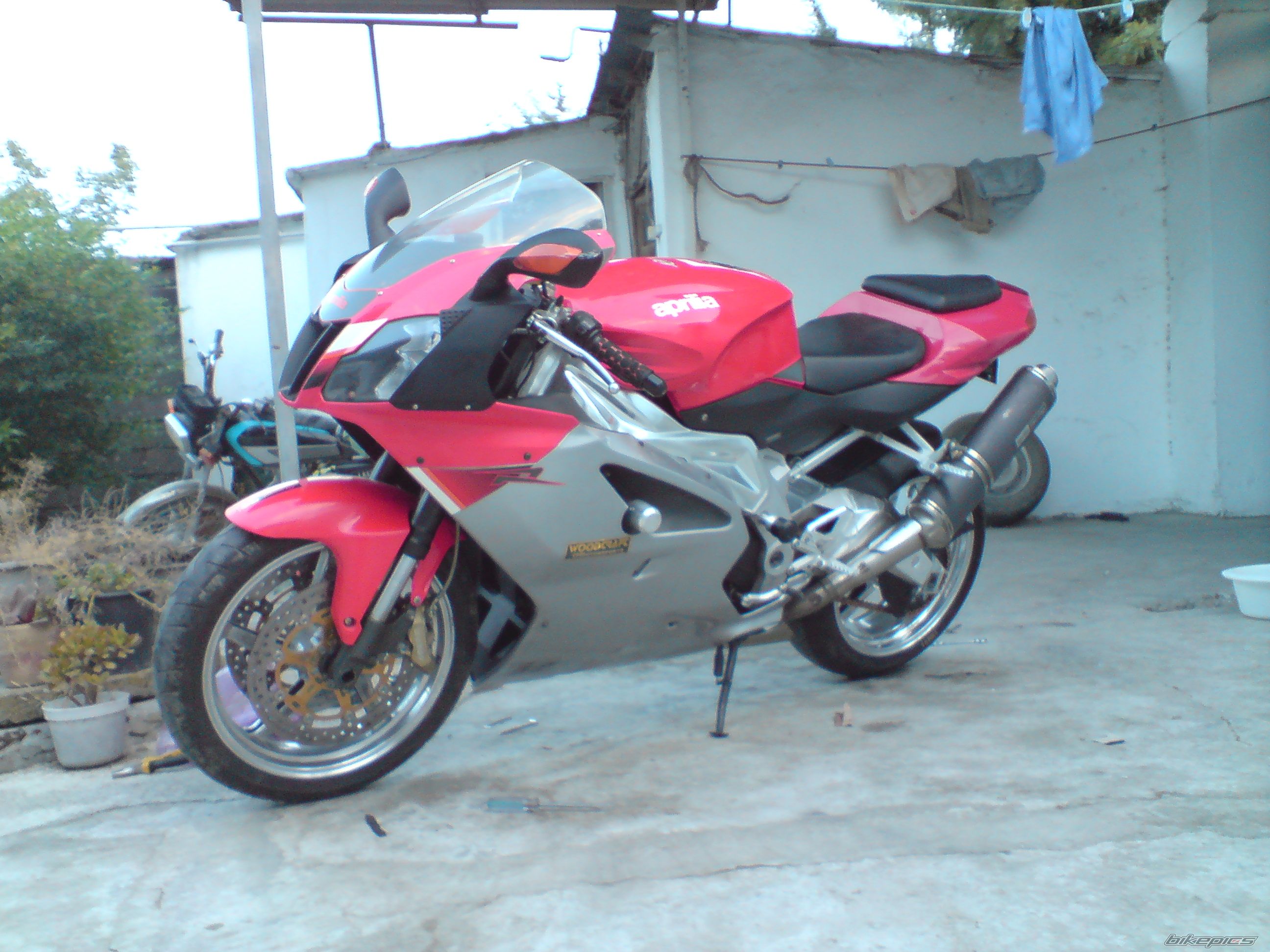 2005 APRILIA RSV 1000R MILLE | Picture 2056657 motorcycle photo