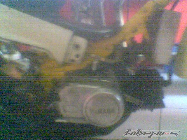 2010 YAMAHA CRYPTON R 105 | Picture 2056811 motorcycle photo