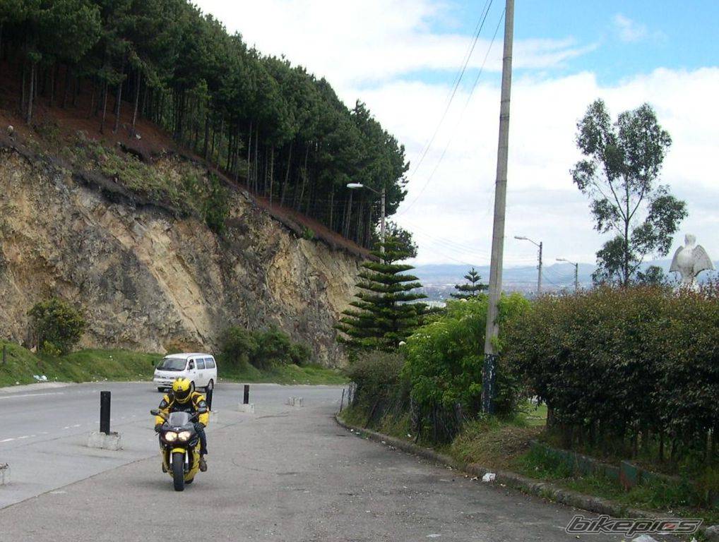 1993 HONDA CBR 900 | Picture 205719 motorcycle photo