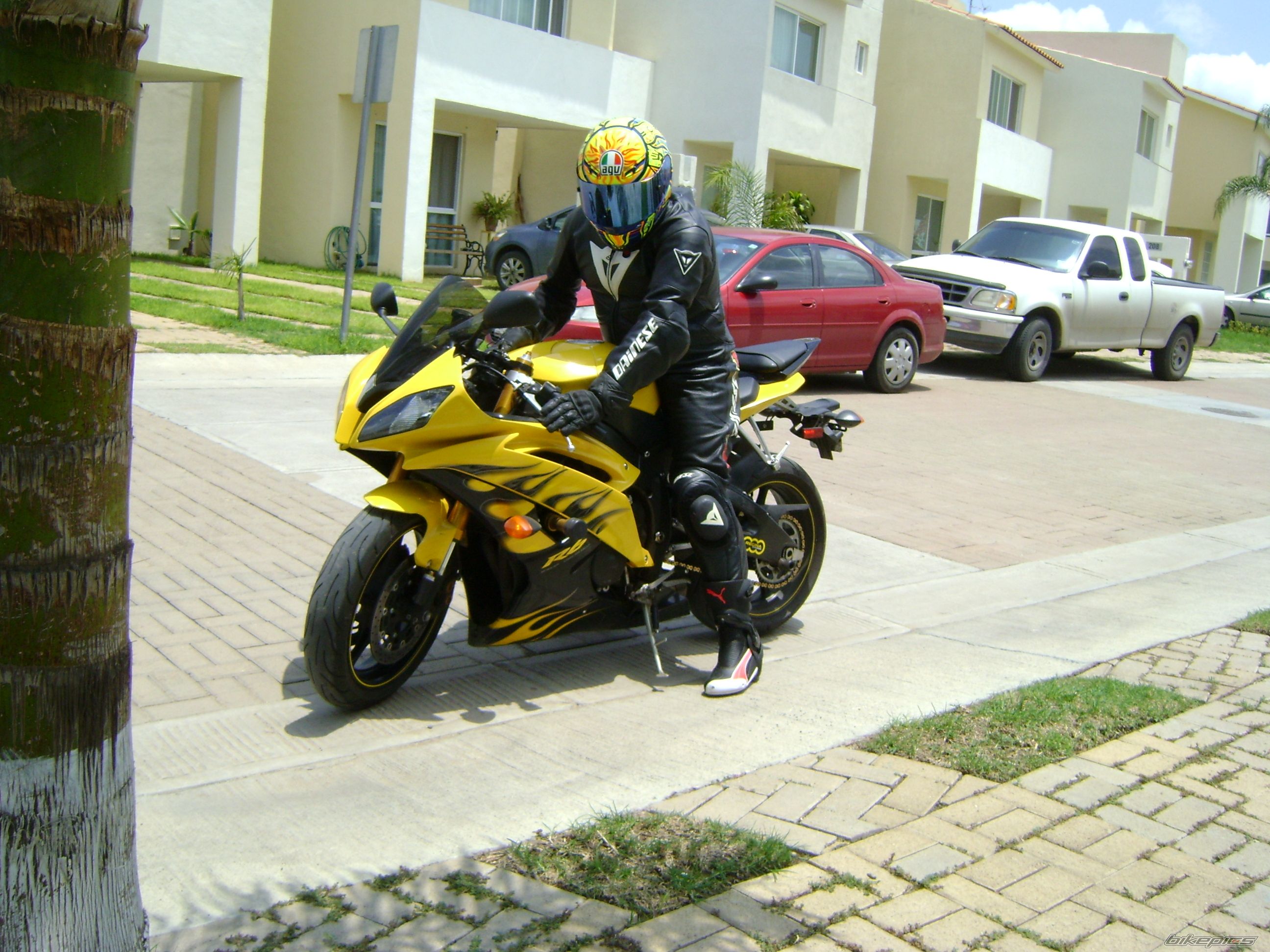 2008 YAMAHA YZF R6 | Picture 2057433 motorcycle photo