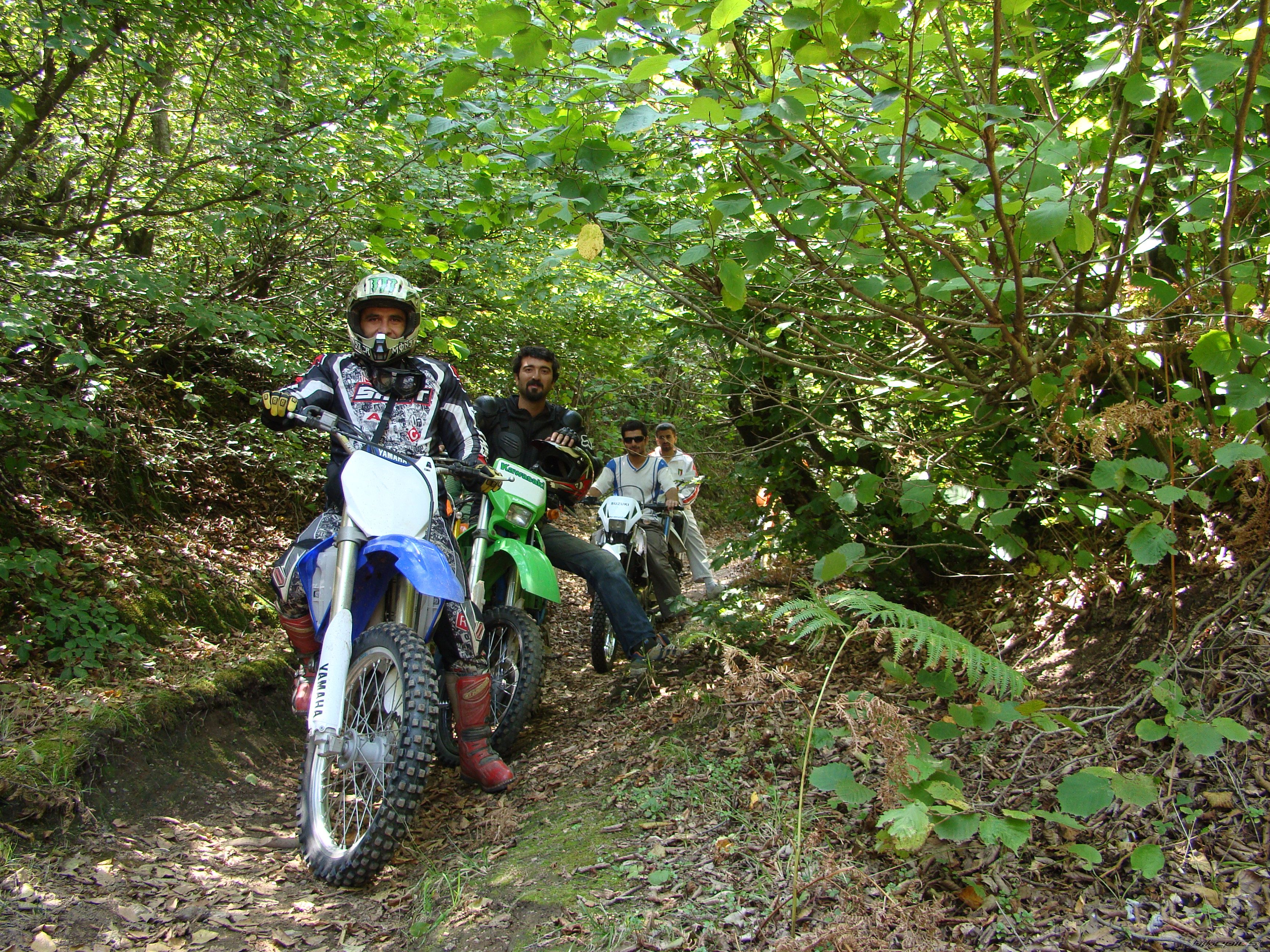 2009 KAWASAKI KX 250F | Picture 2058114 motorcycle photo