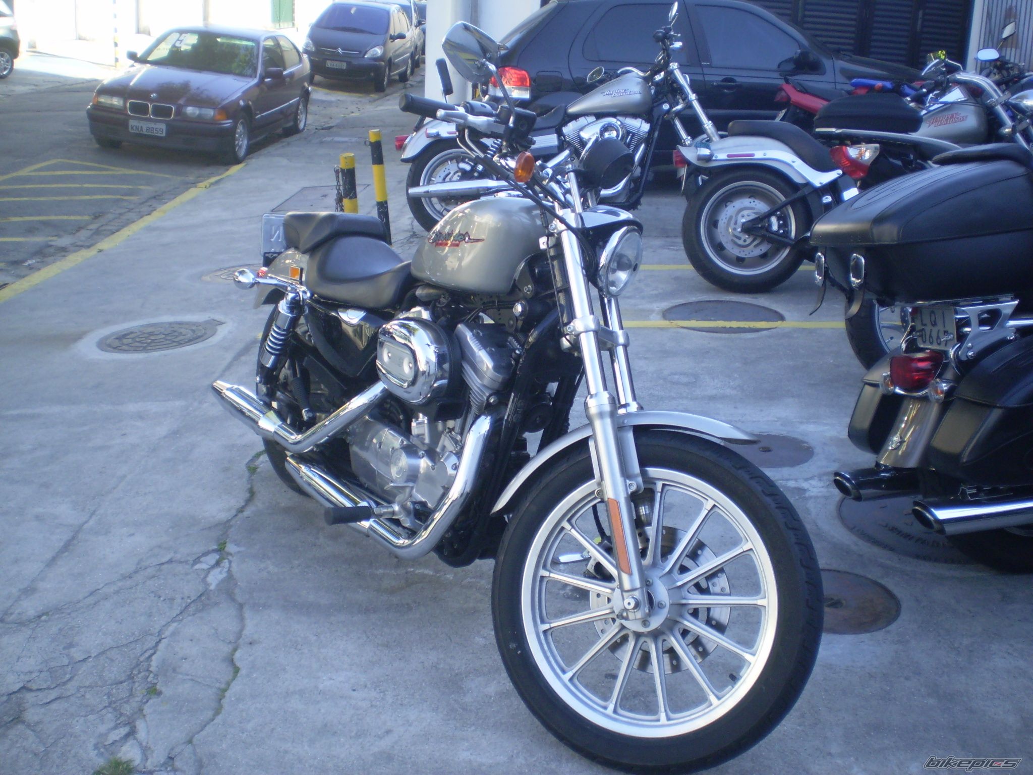 2007 HARLEY DAVIDSON XL 883 SPORTSTER | Picture 2058210 motorcycle photo