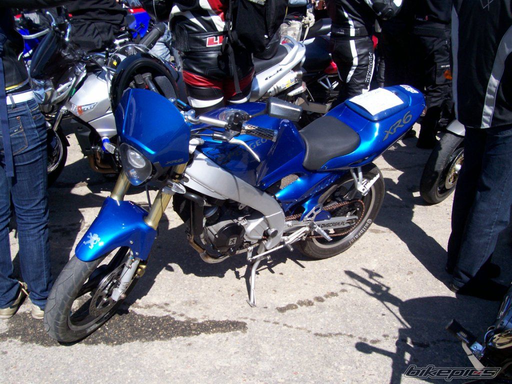 2002 PEUGEOT XR6 | Picture 2059522 motorcycle photo