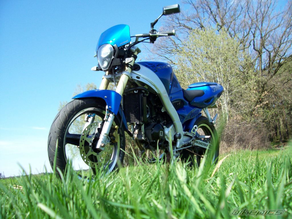 2002 PEUGEOT XR6 | Picture 2059524 motorcycle photo