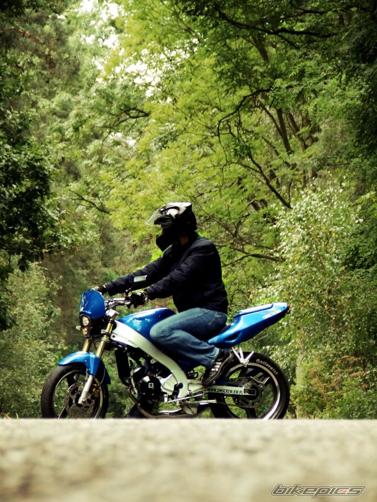 2002 PEUGEOT XR6 | Picture 2059527 motorcycle photo
