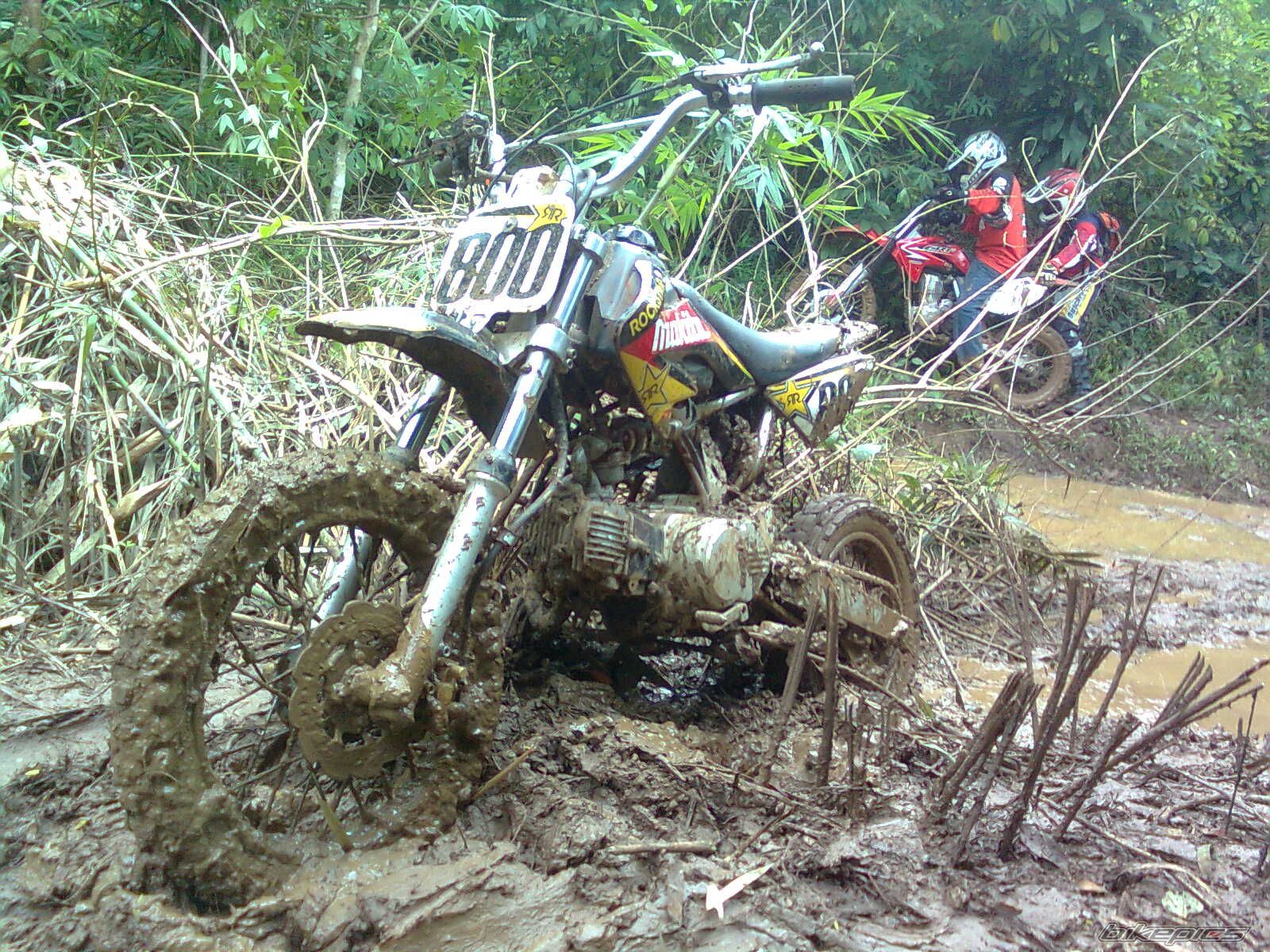 1997 KAWASAKI KMX 125 | Picture 2059692 motorcycle photo