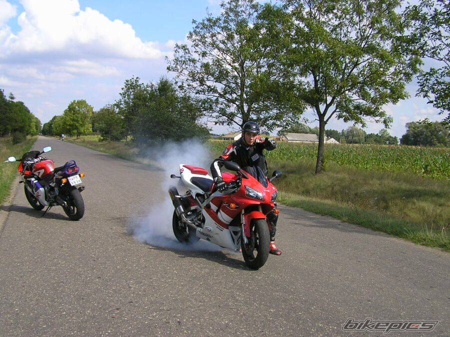 1999 YAMAHA YZF R1 | Picture 206019 motorcycle photo