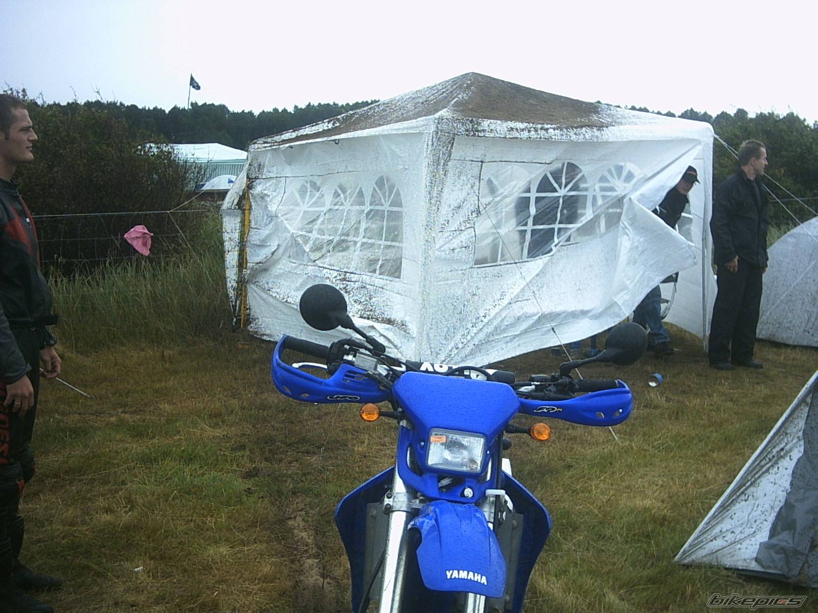 2003 YAMAHA WR 250F | Picture 206029 motorcycle photo