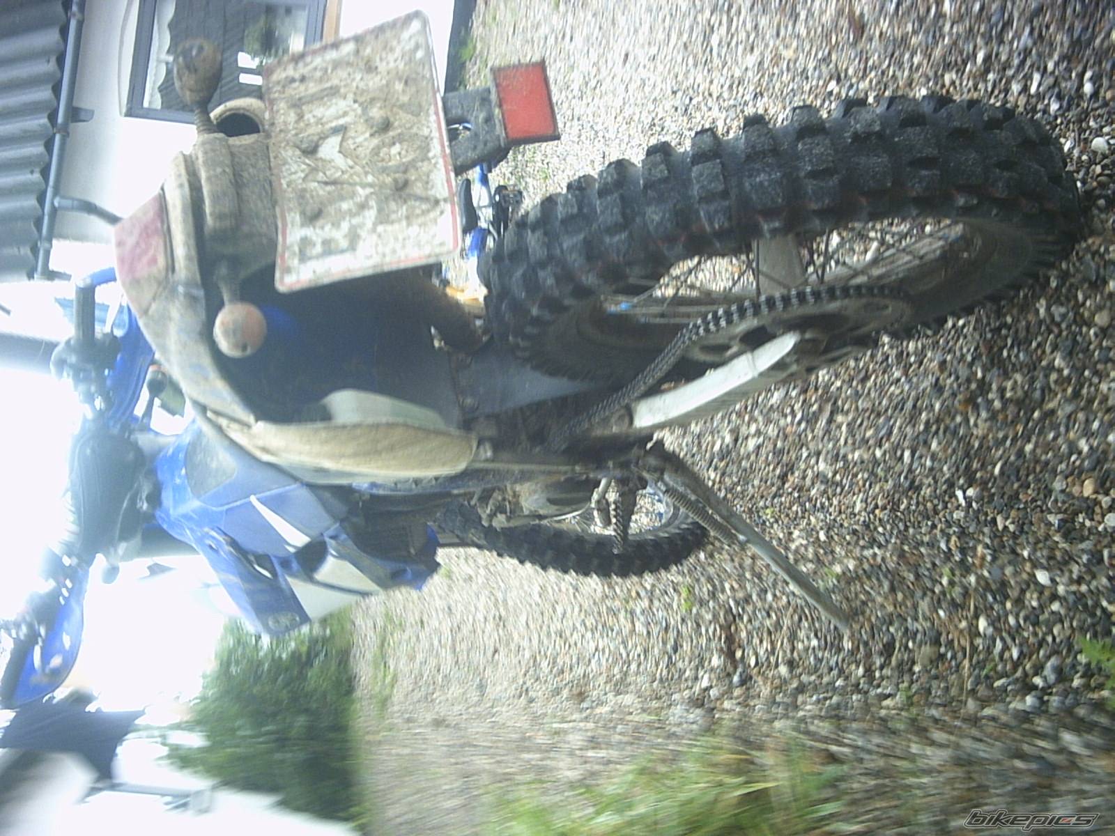2003 YAMAHA WR 250F | Picture 206033 motorcycle photo