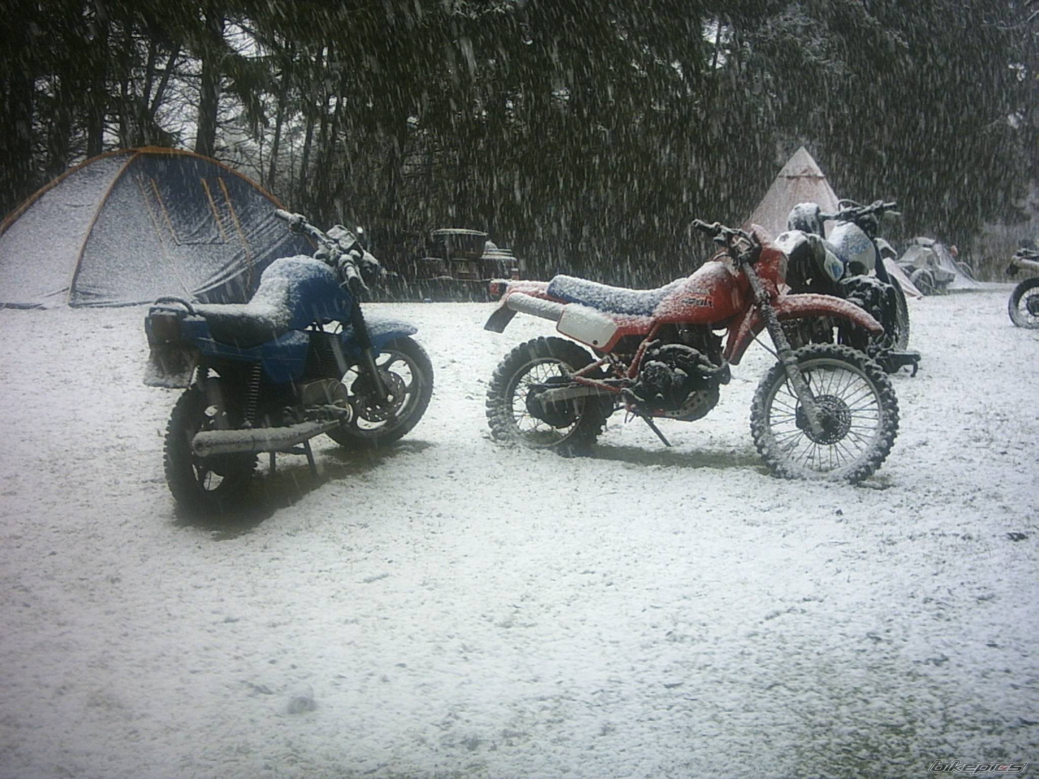 1994 MZ ETZ 251 | Picture 206050 motorcycle photo
