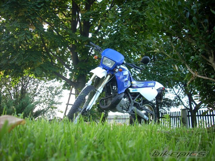 1999 DERBI SENDA R 50 | Picture 2060566 motorcycle photo