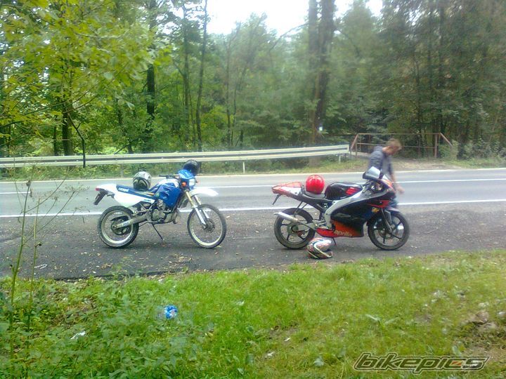 1999 DERBI SENDA R 50 | Picture 2060612 motorcycle photo