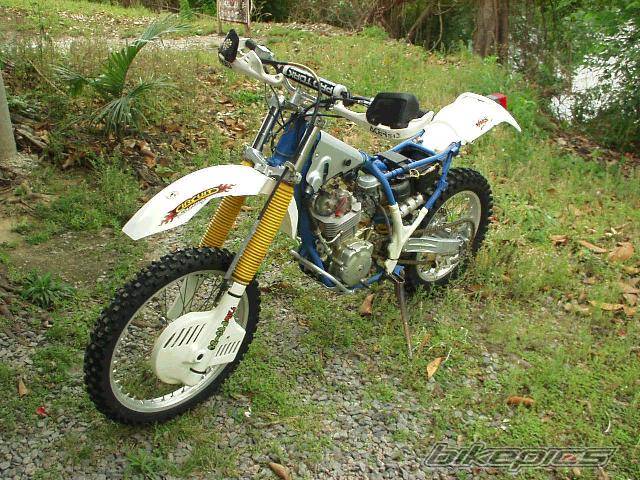1996 SUZUKI DR 350 | Picture 206095 motorcycle photo