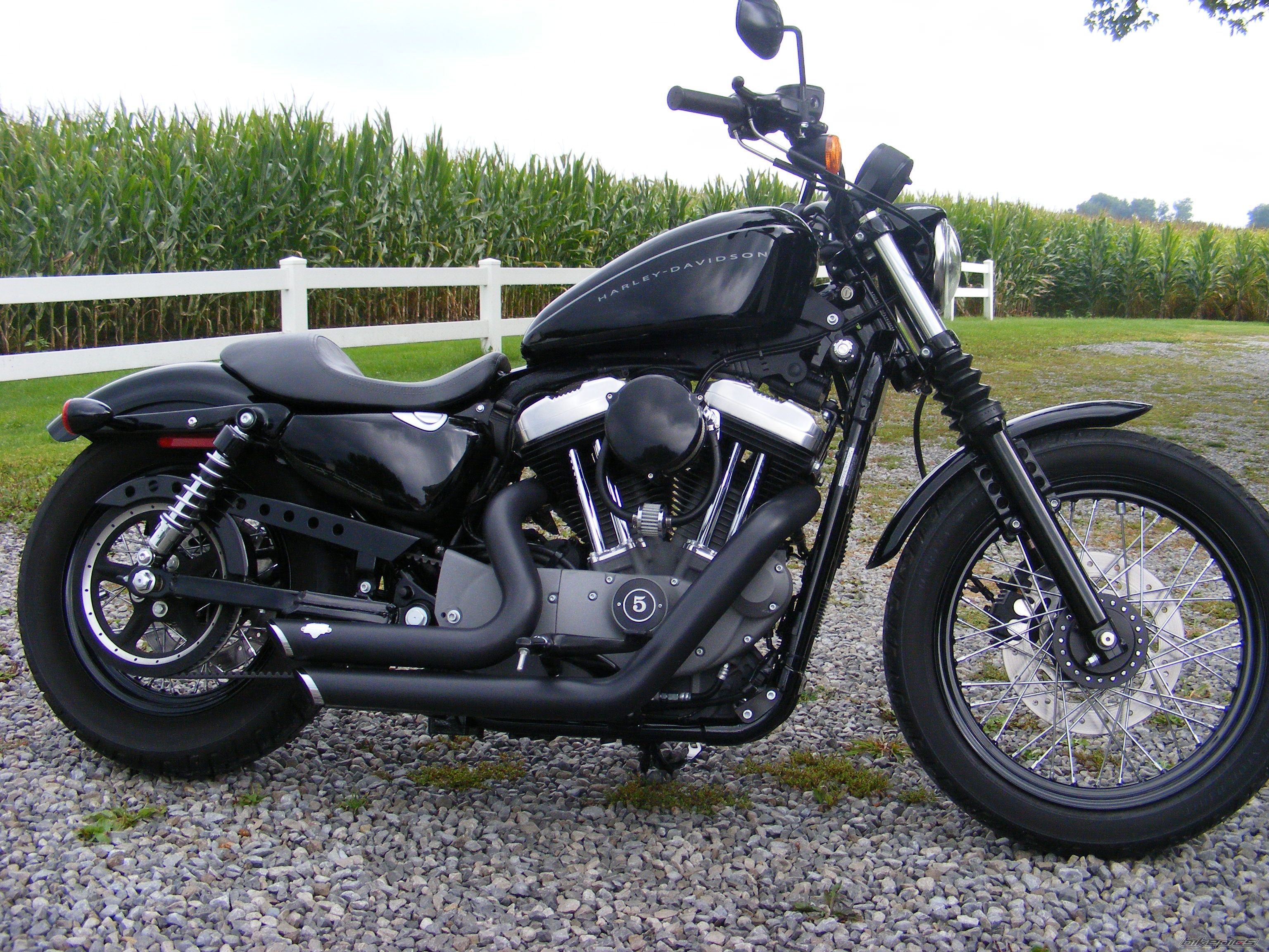 2009 HARLEY DAVIDSON XL 1200 C | Picture 2061032 motorcycle photo