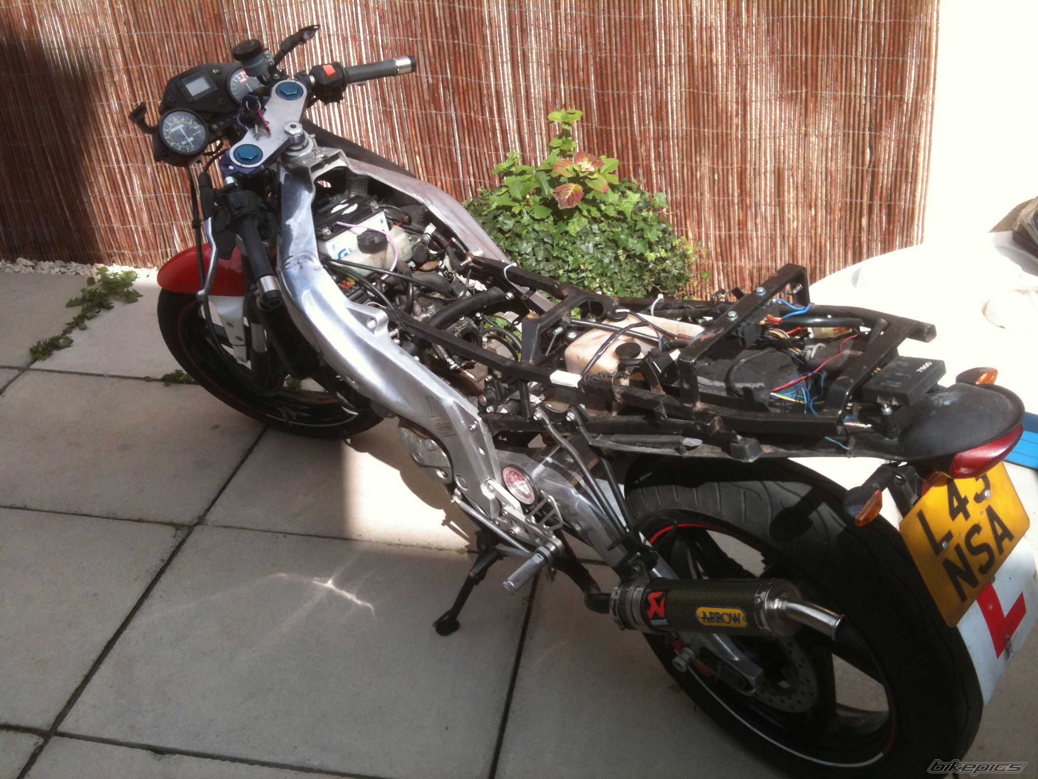 1994 APRILIA RS 125 | Picture 2061105 motorcycle photo