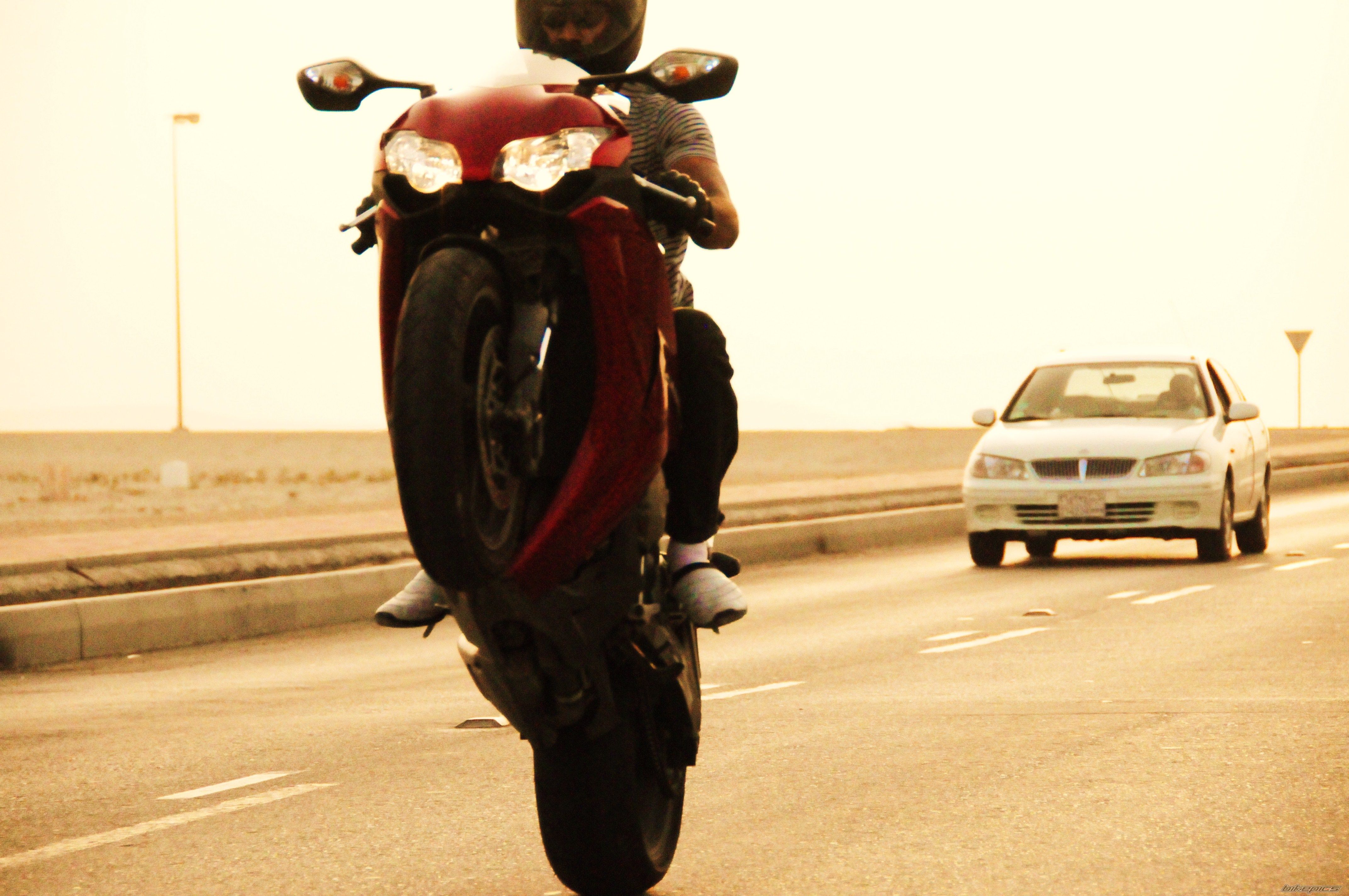 2008 HONDA CBR 1000  RR | Picture 2061523 motorcycle photo
