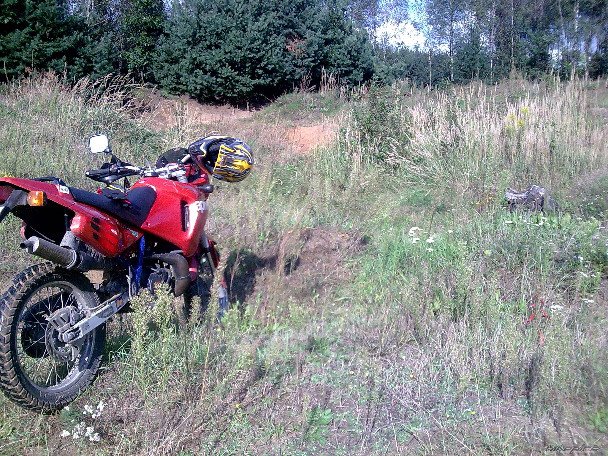 1998 APRILIA PEGASO 50 | Picture 2061526 motorcycle photo