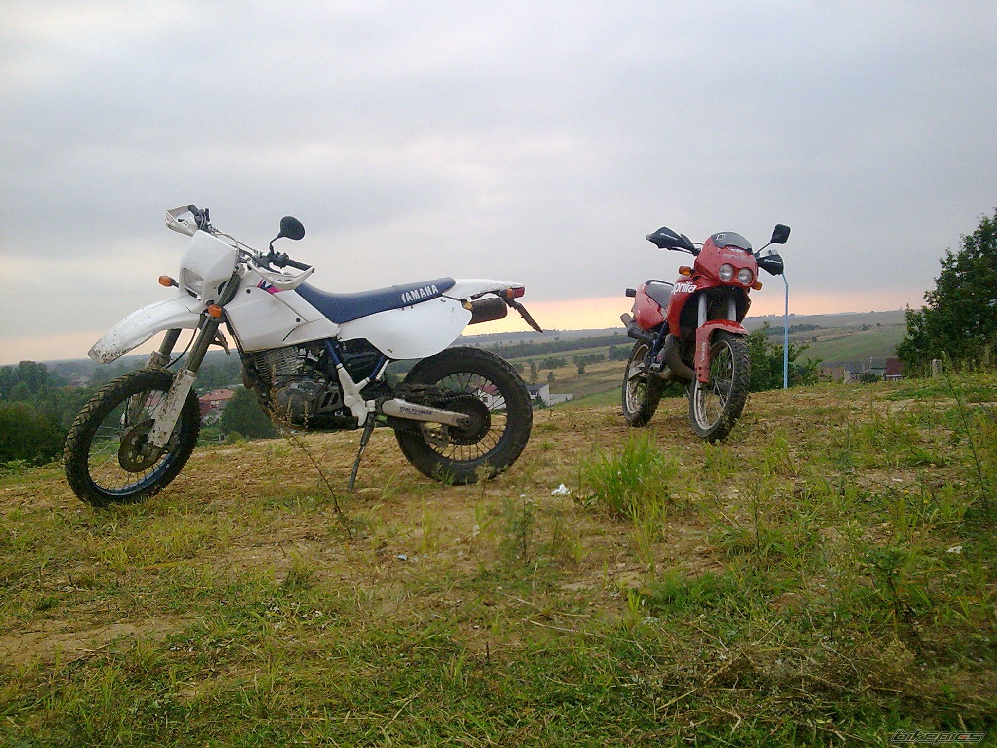 1998 APRILIA PEGASO 50 | Picture 2061527 motorcycle photo