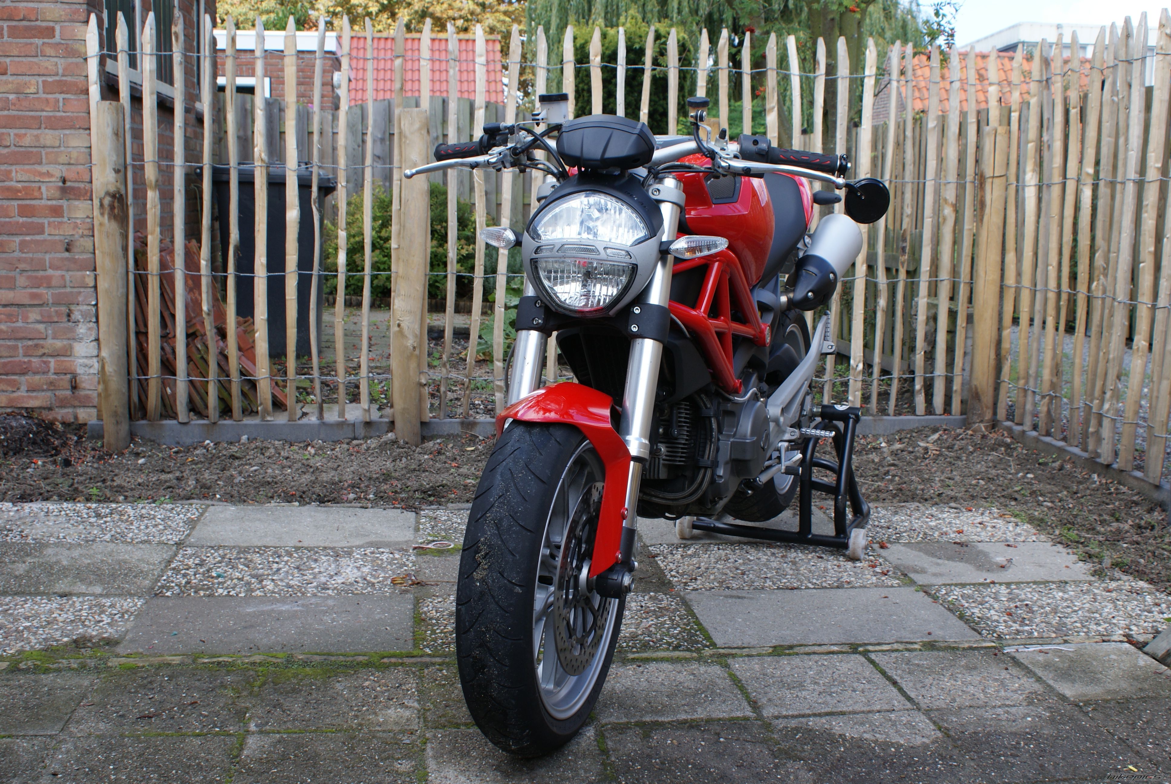 2009 DUCATI MONSTER 1100 | Picture 2061538 motorcycle photo