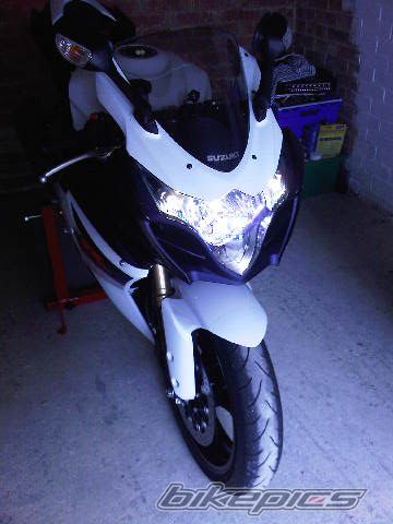 2010 SUZUKI GSX R 1000 | Picture 2061877 motorcycle photo