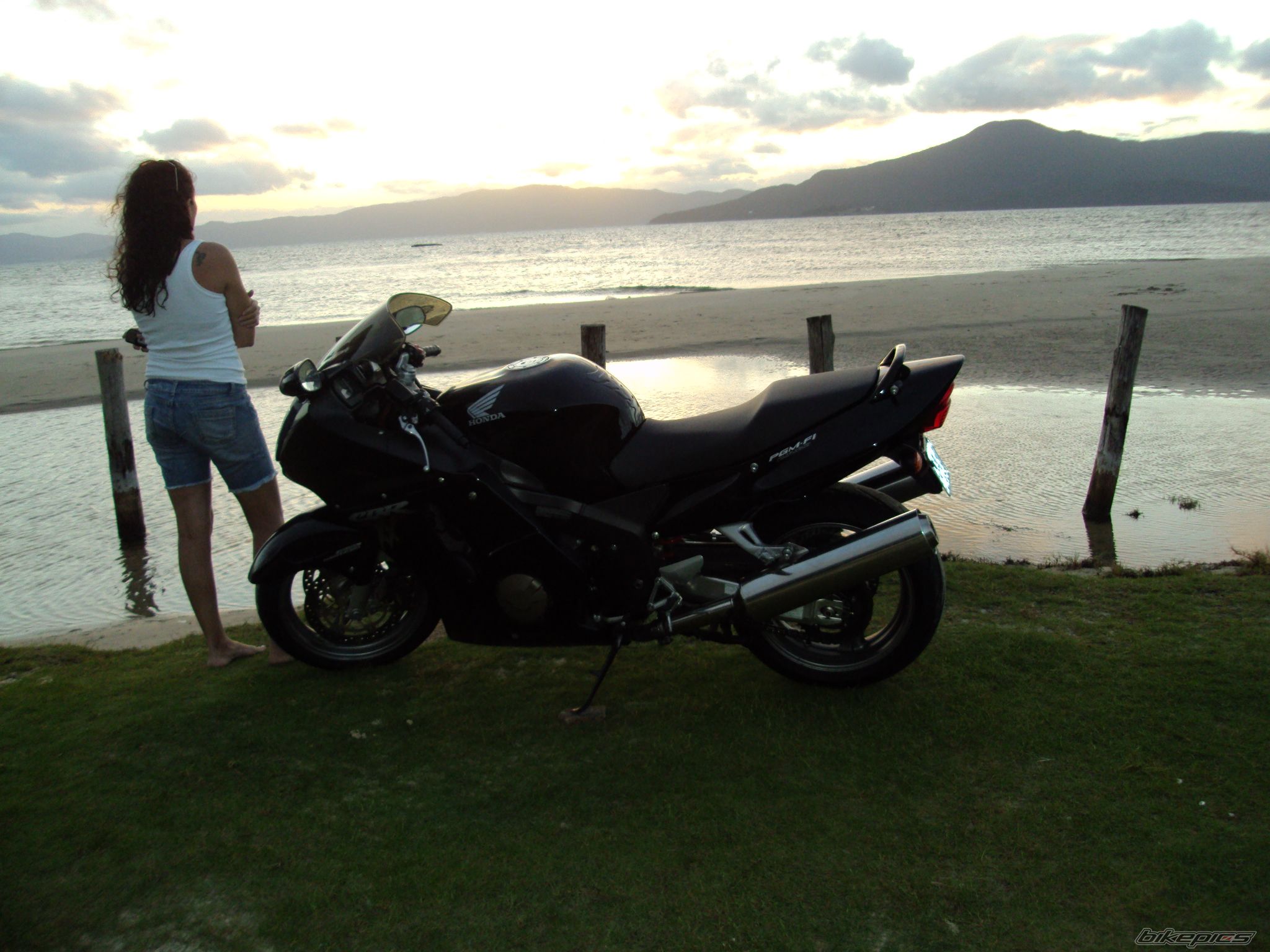 2003 HONDA CBR 1100 BLACKBIRD | Picture 2062140 motorcycle photo