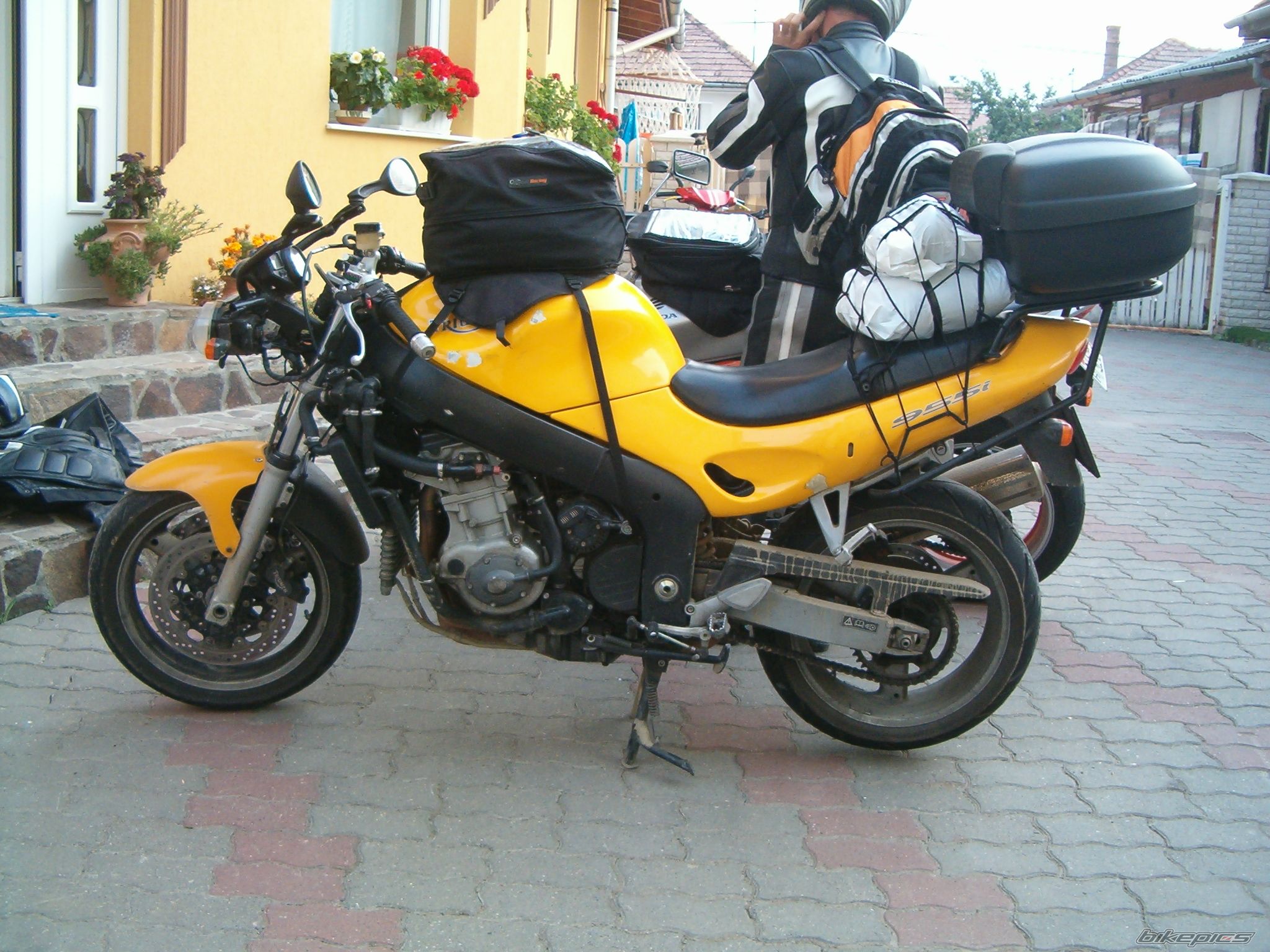 2001 TRIUMPH SPRINT RS | Picture 2062485 motorcycle photo