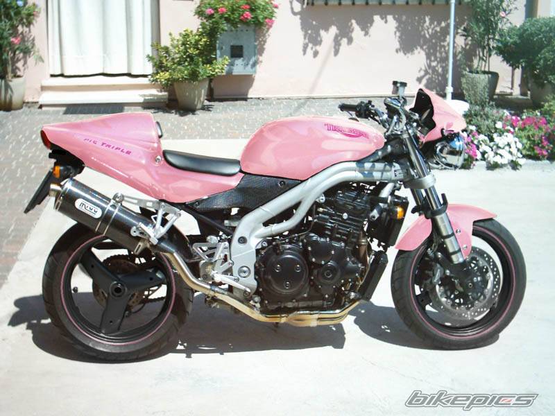 2003 TRIUMPH SPEED TRIPLE | Picture 206282 motorcycle photo