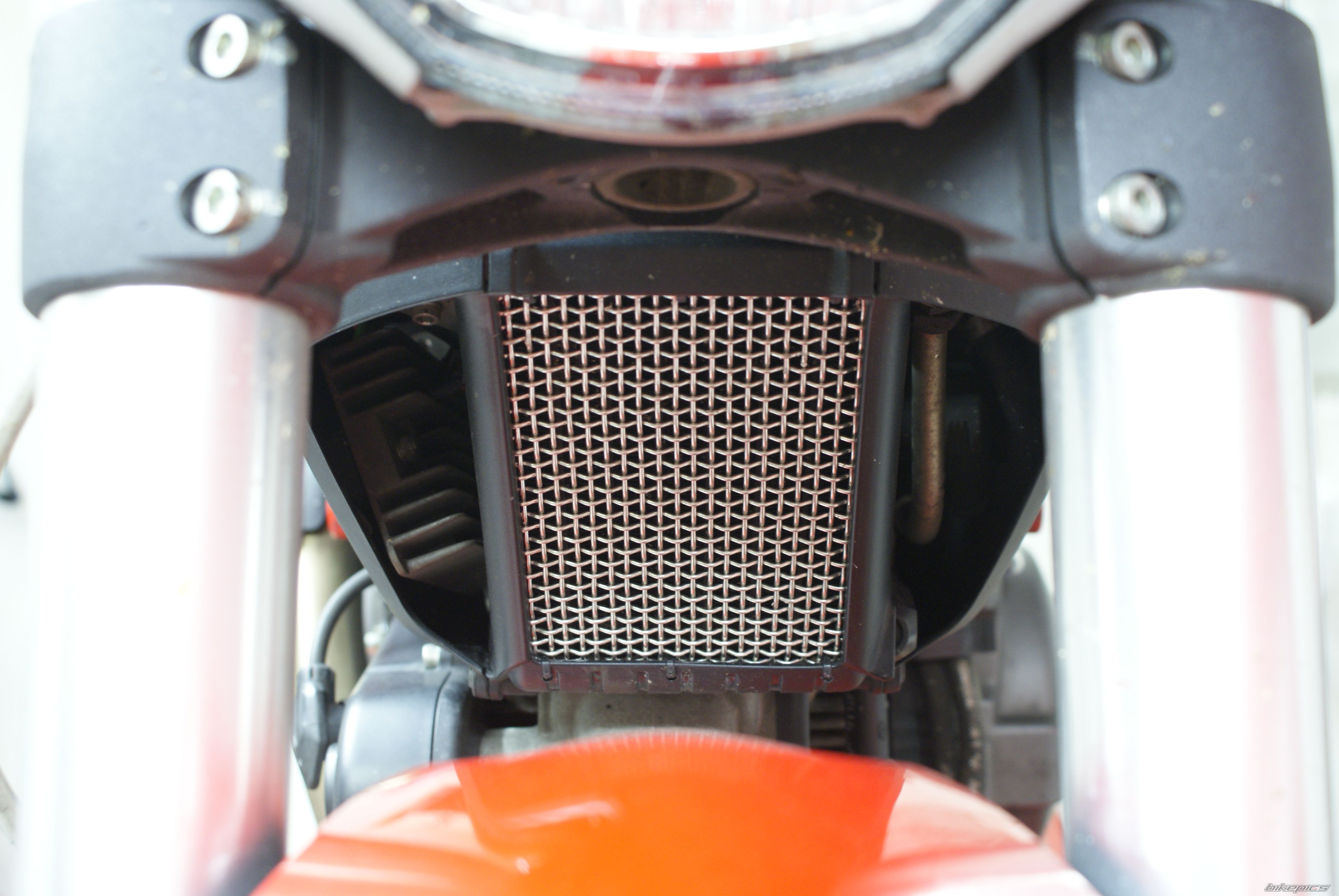 2009 DUCATI MONSTER 1100 | Picture 2062848 motorcycle photo
