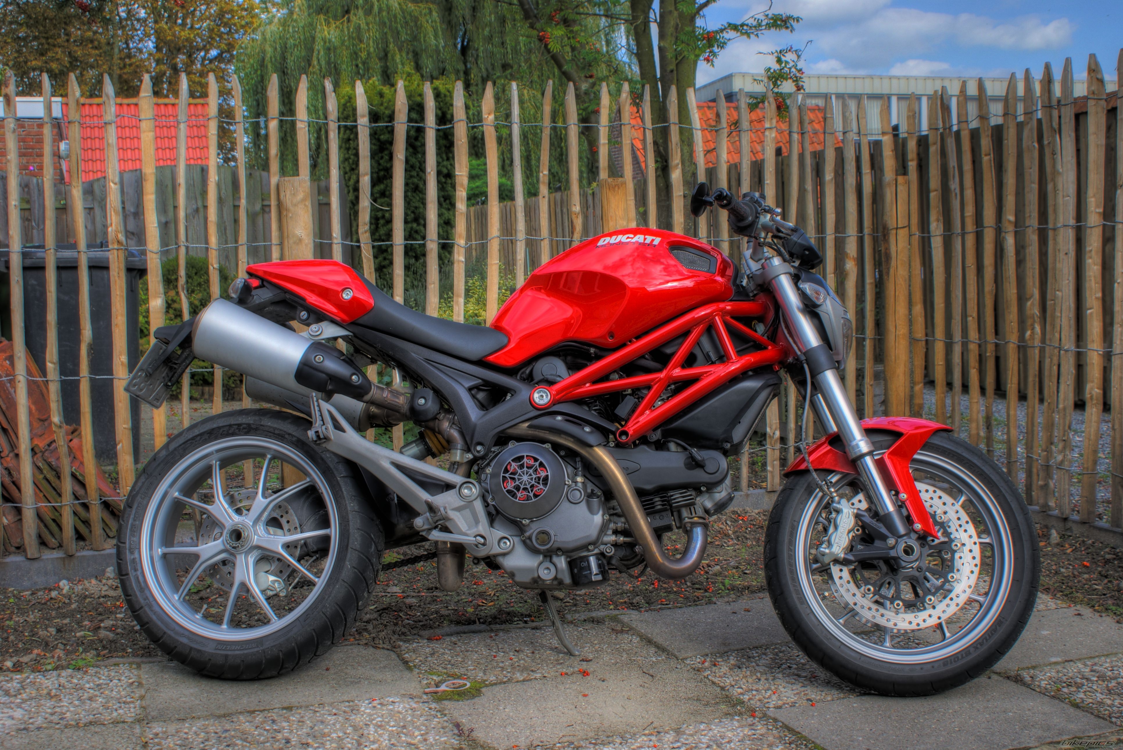 2009 DUCATI MONSTER 1100 | Picture 2062851 motorcycle photo