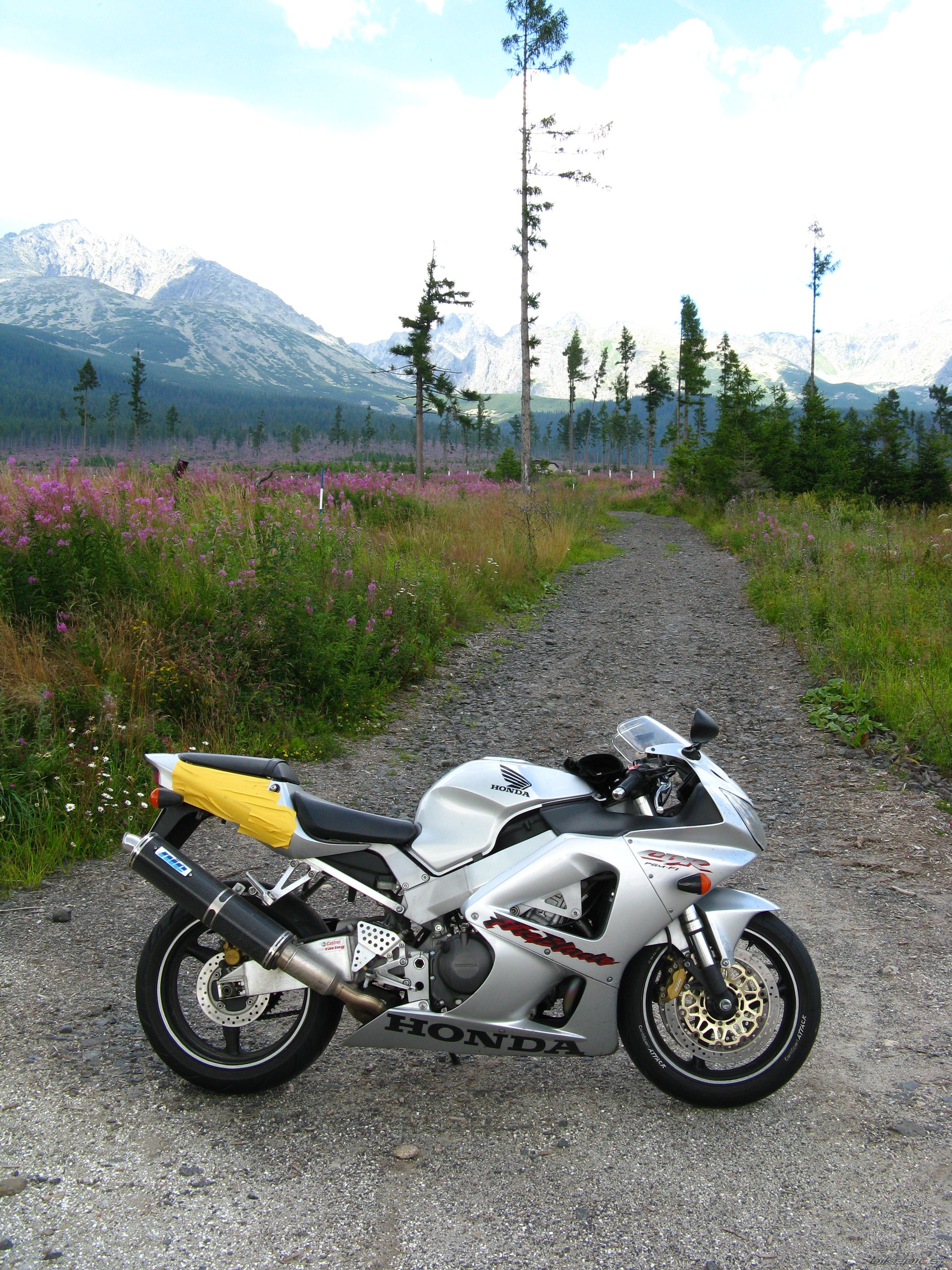 2001 HONDA CBR 900 | Picture 2062860 motorcycle photo