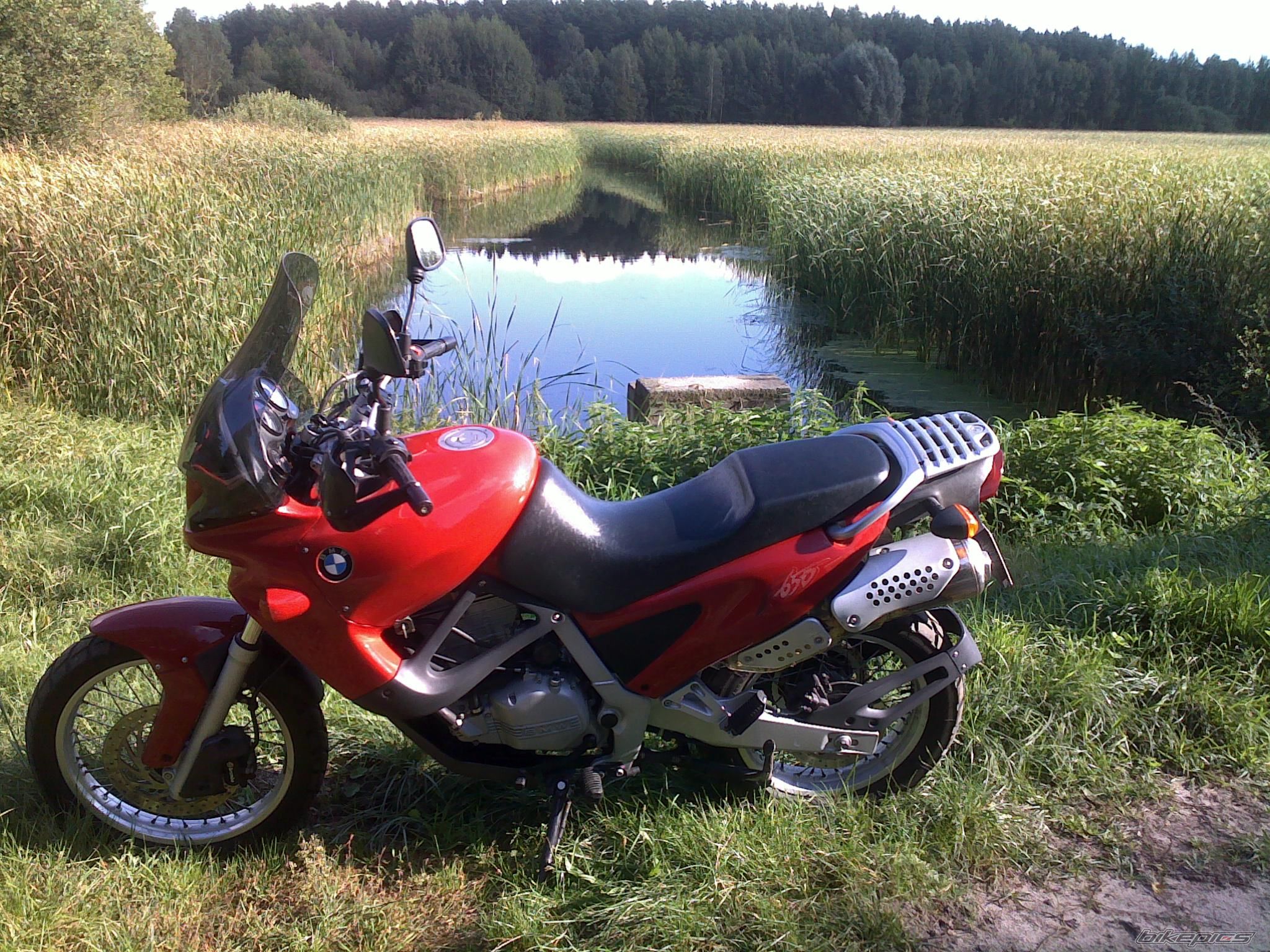 1998 BMW F 650 CS | Picture 2062907 motorcycle photo