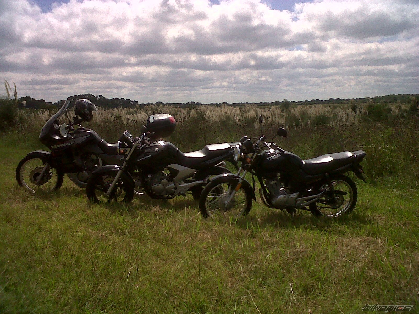 2009 YAMAHA YS 250 FAZER | Picture 2063239 motorcycle photo