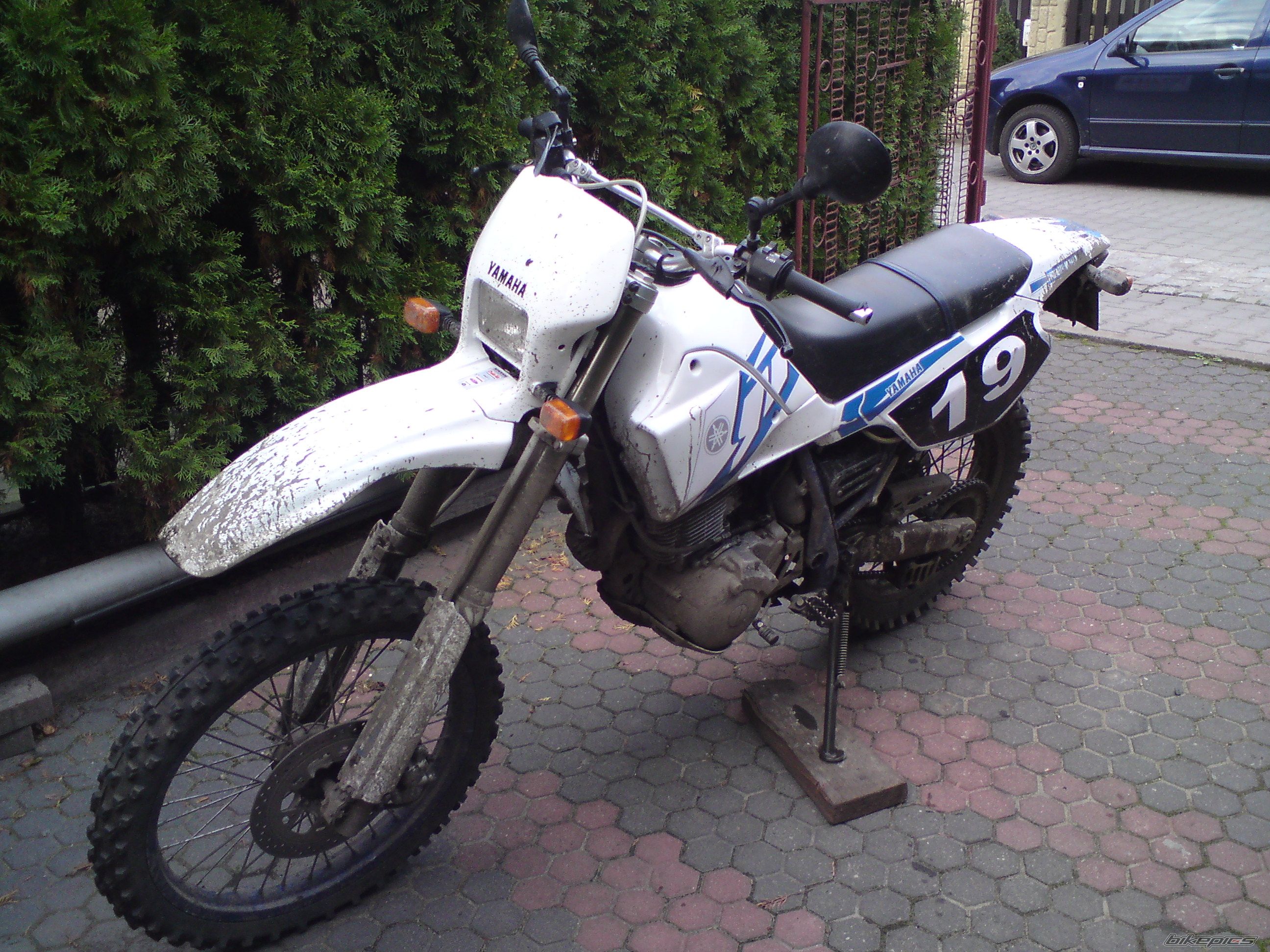 1995 YAMAHA TTR 600 | Picture 2063868 motorcycle photo