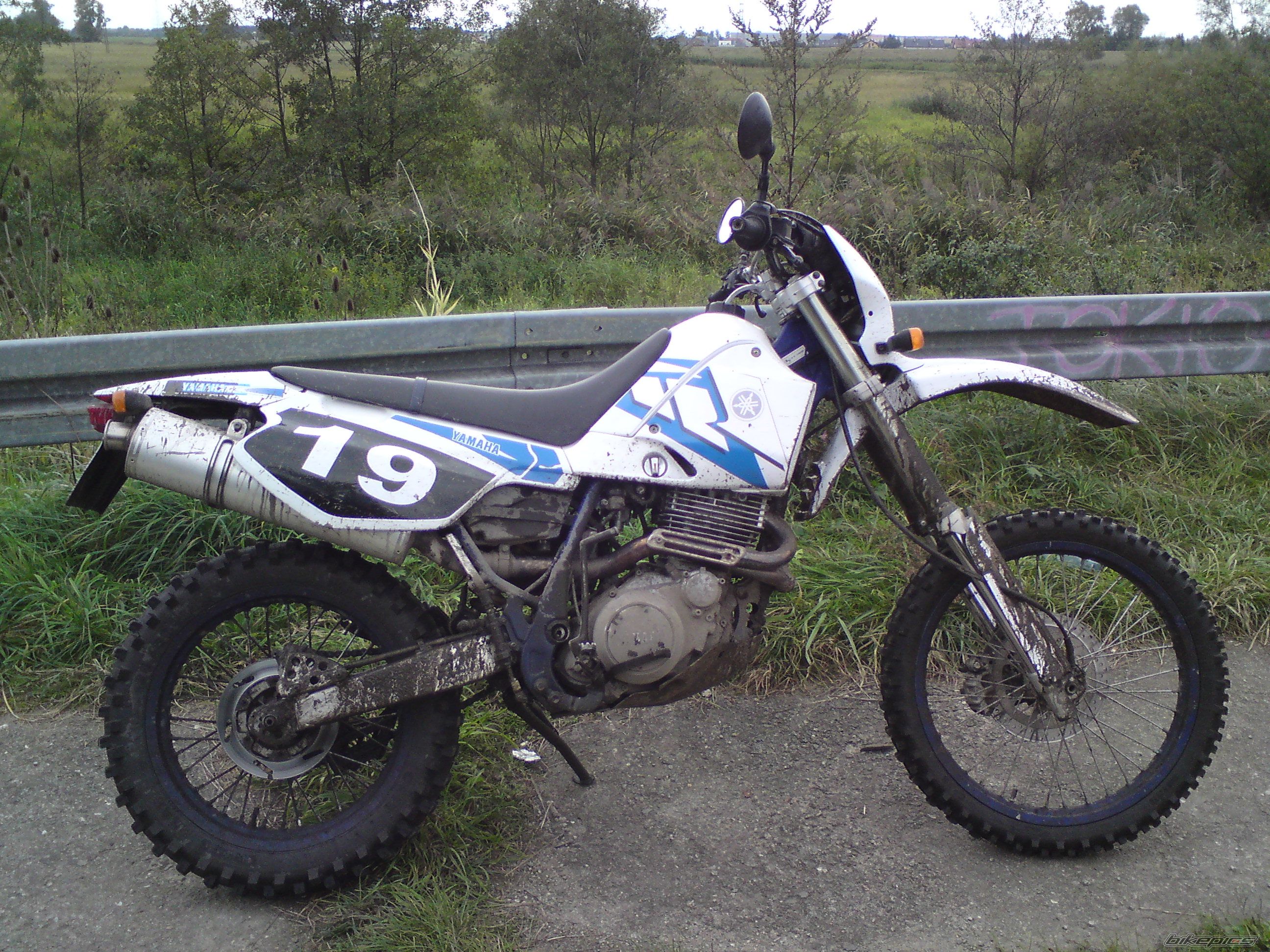 1995 YAMAHA TTR 600 | Picture 2063870 motorcycle photo