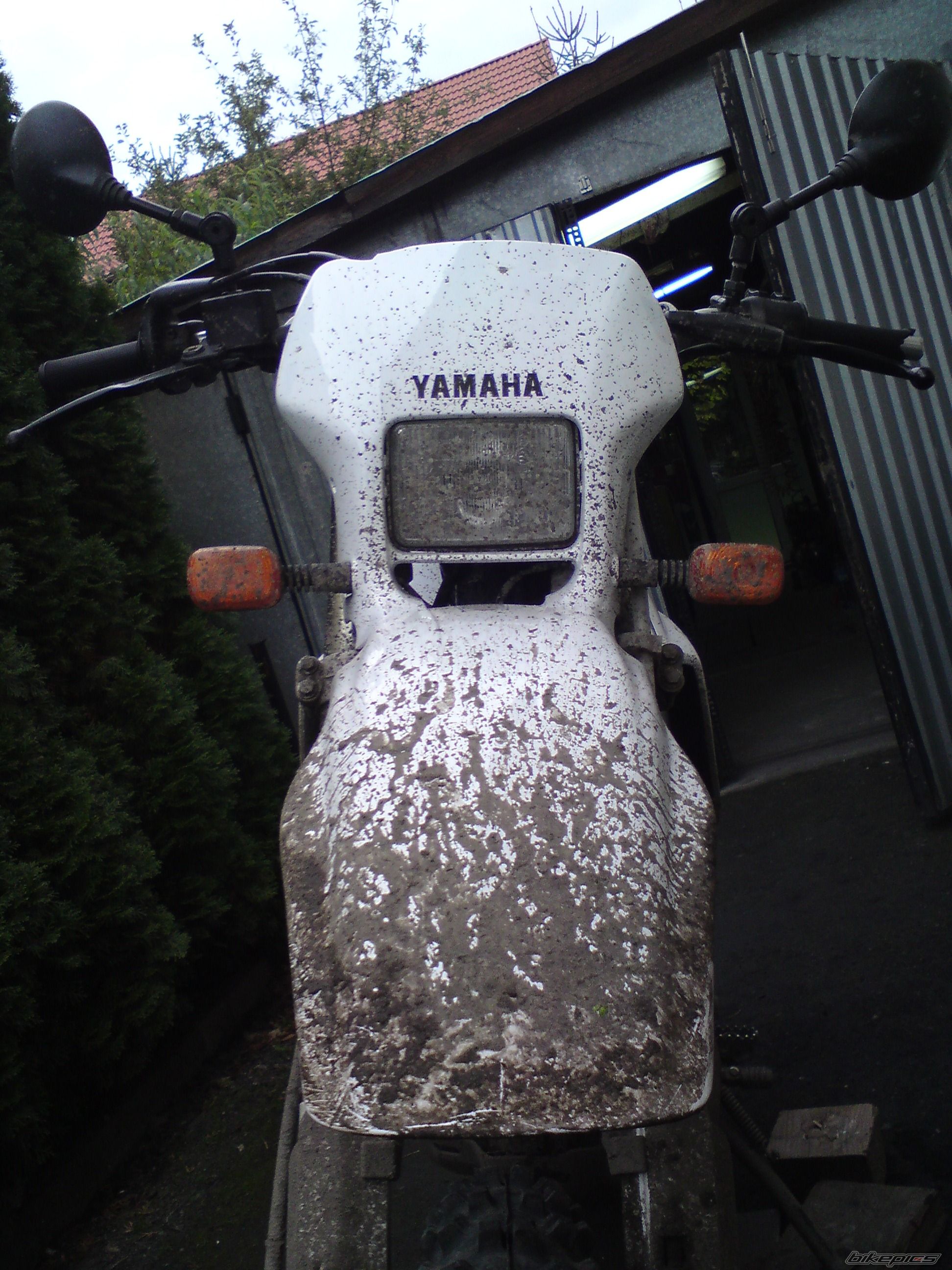 1995 YAMAHA TTR 600 | Picture 2063872 motorcycle photo