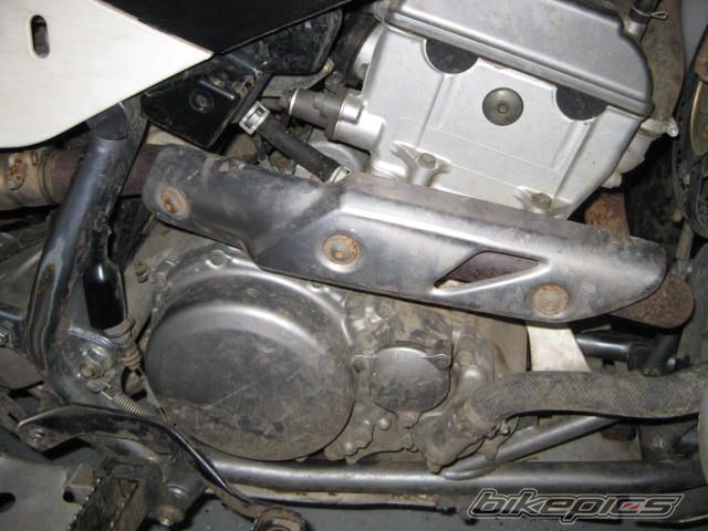 2003 SUZUKI SUZUKI Z400 | Picture 2064119 motorcycle photo