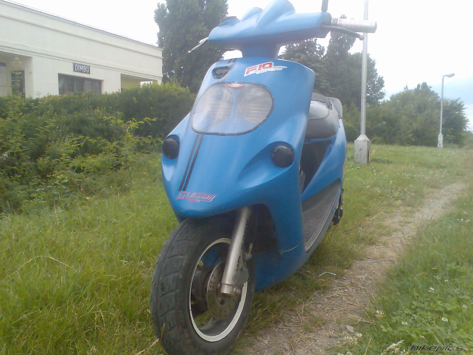 2010 MALAGUTI F 10 50 | Picture 2064638 motorcycle photo
