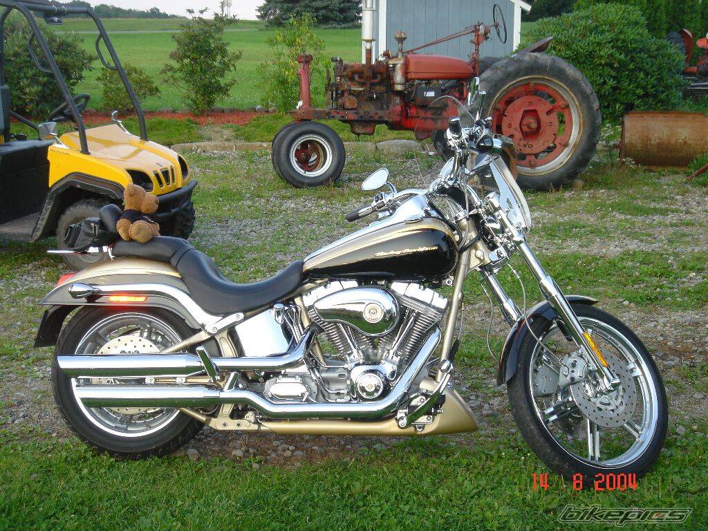 2003 HARLEY DAVIDSON FXSTD | Picture 206474 motorcycle photo