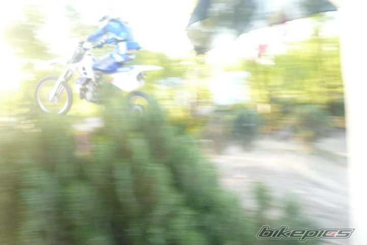 1994 YAMAHA YZ 250 | Picture 2064824 motorcycle photo