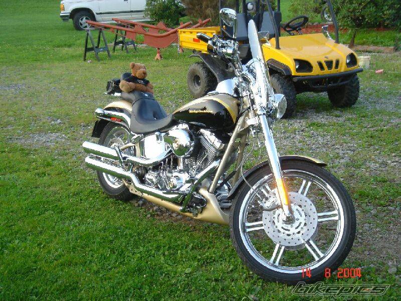 2003 HARLEY DAVIDSON FXSTD | Picture 206515 motorcycle photo