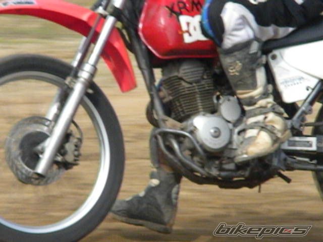 2010 HONDA WAVE 100 | Picture 2065813 motorcycle photo