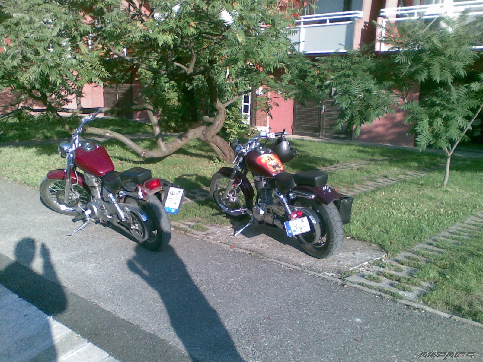 1998 SUZUKI SAVAGE | Picture 2065919 motorcycle photo
