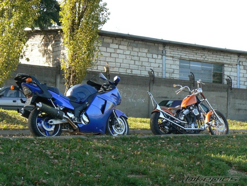 1999 HONDA CBR 1100 BLACKBIRD | Picture 2066228 motorcycle photo