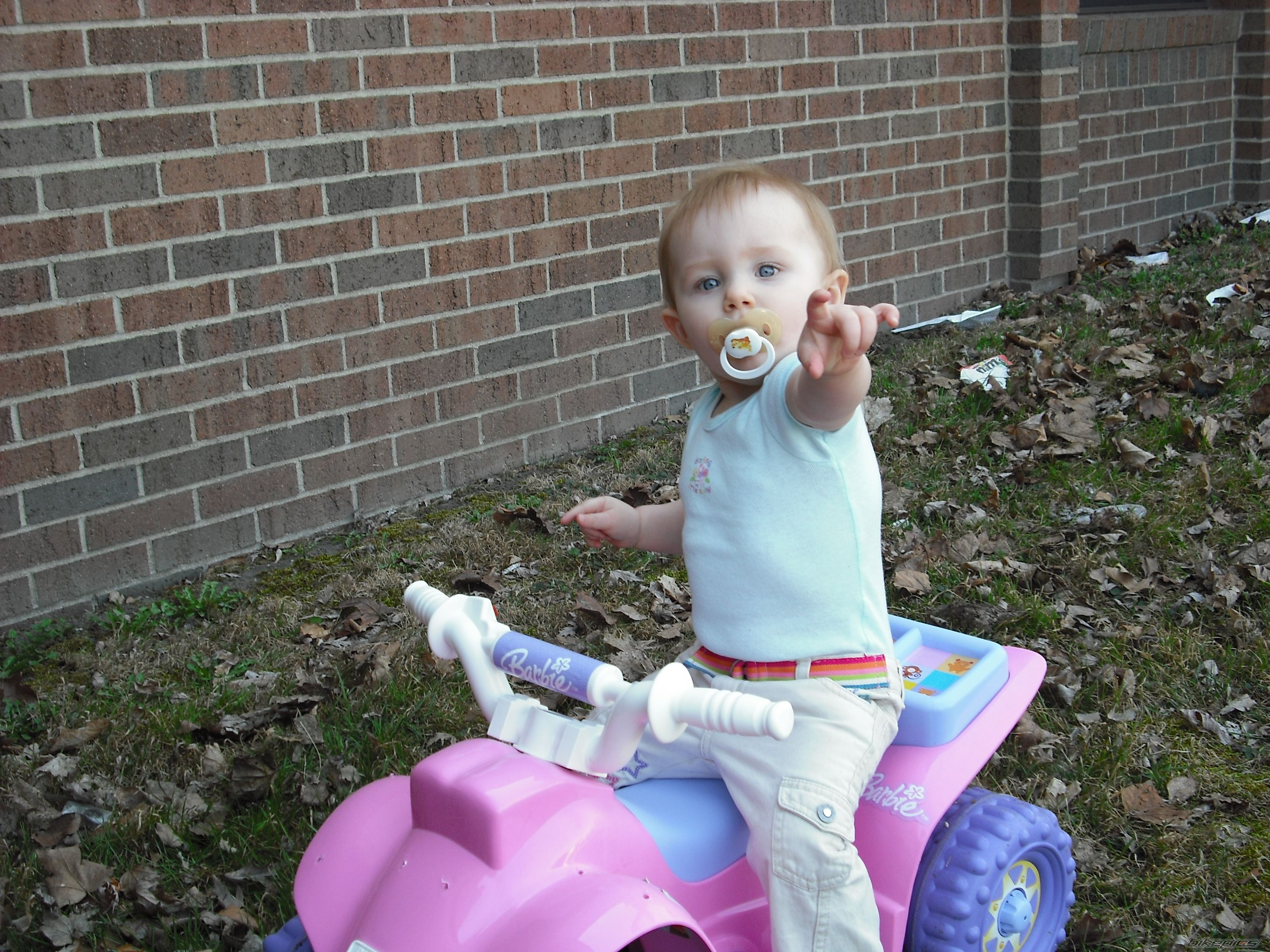    | Picture 2066338 motorcycle photo