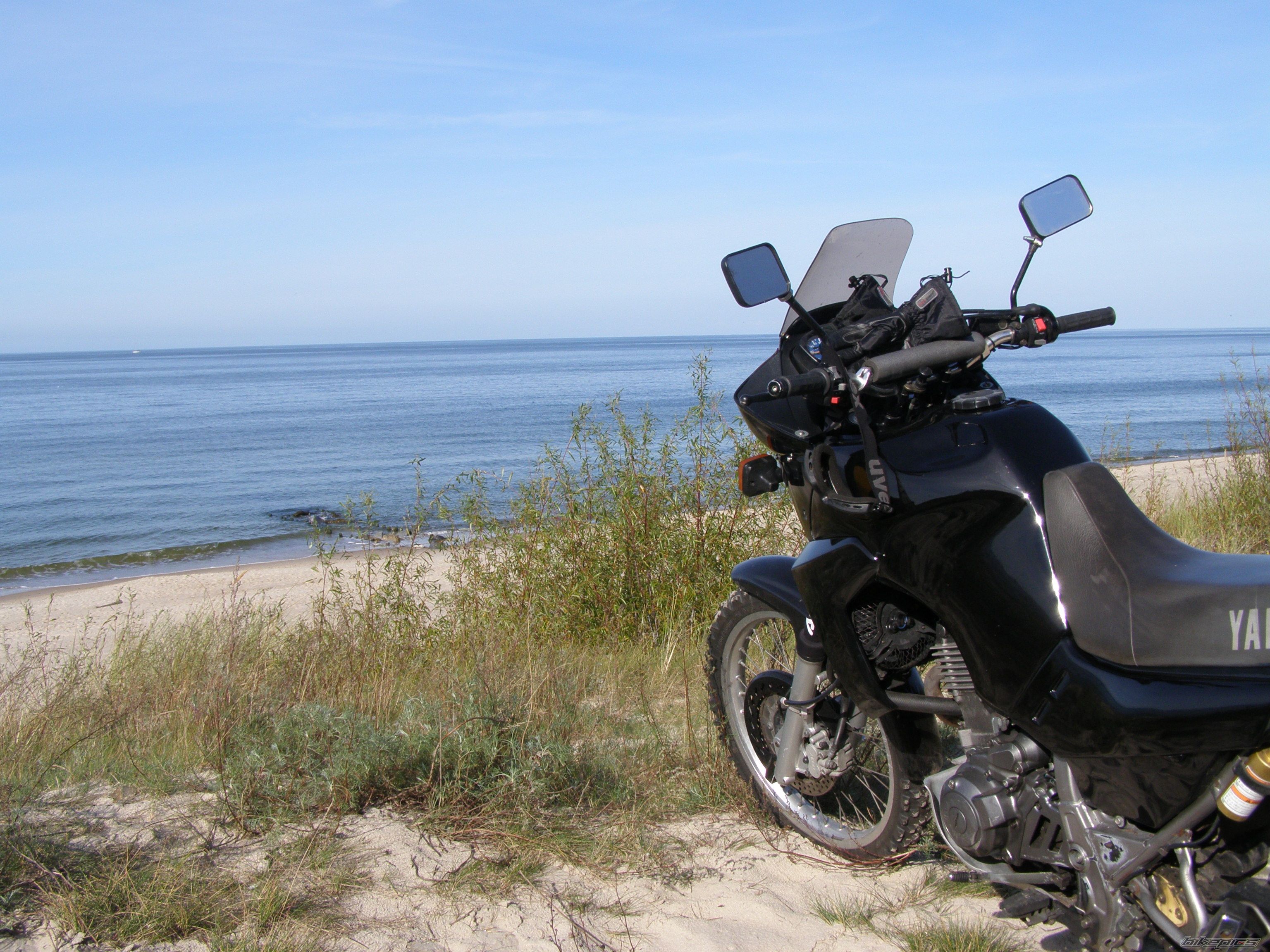 1992 YAMAHA XTZ 660 | Picture 2066529 motorcycle photo