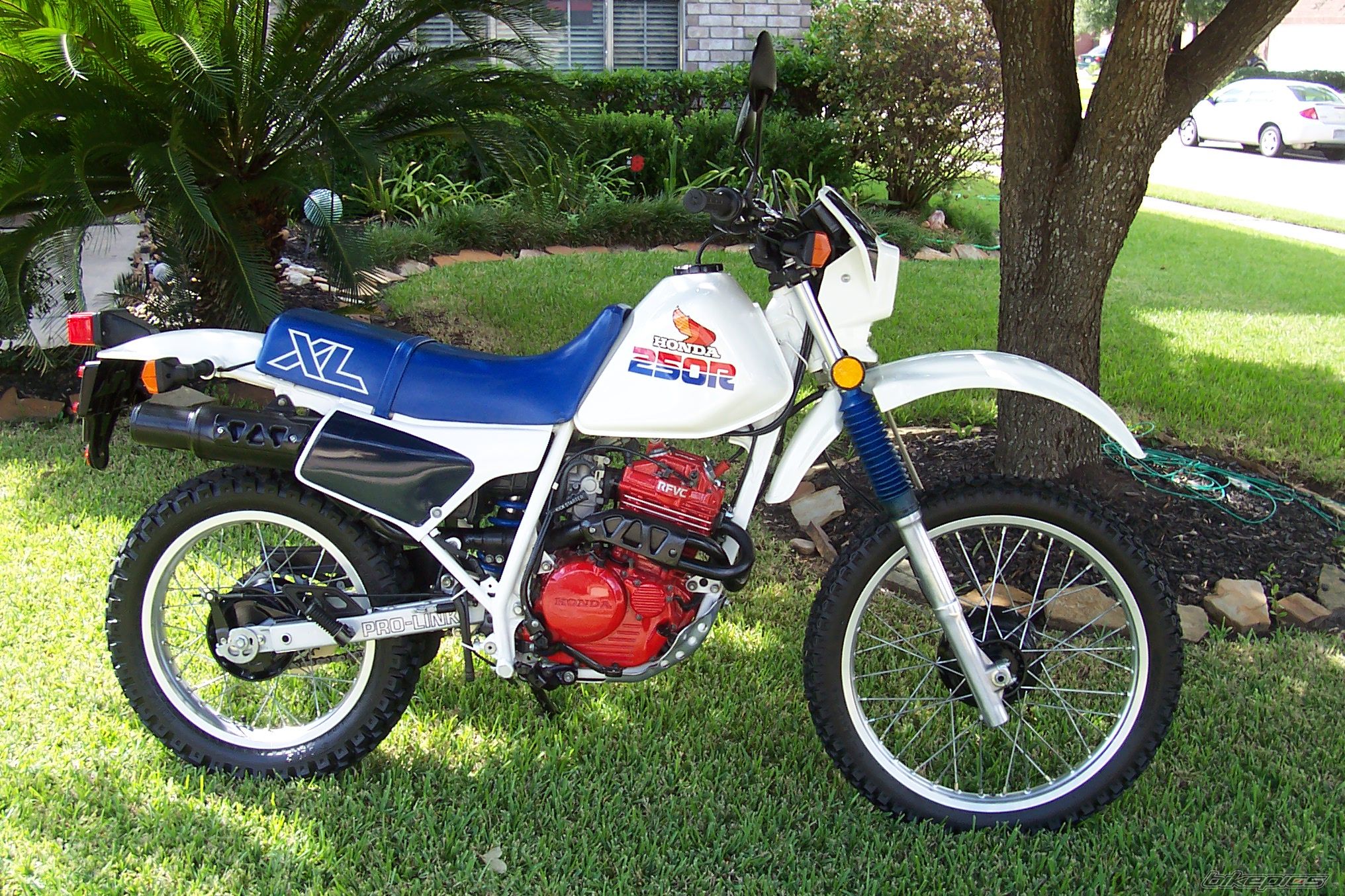 1986 HONDA XL 250 | Picture 2066805 motorcycle photo