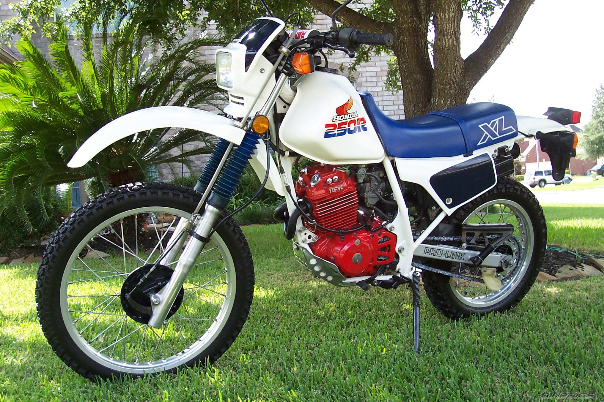1986 HONDA XL 250 | Picture 2066830 motorcycle photo