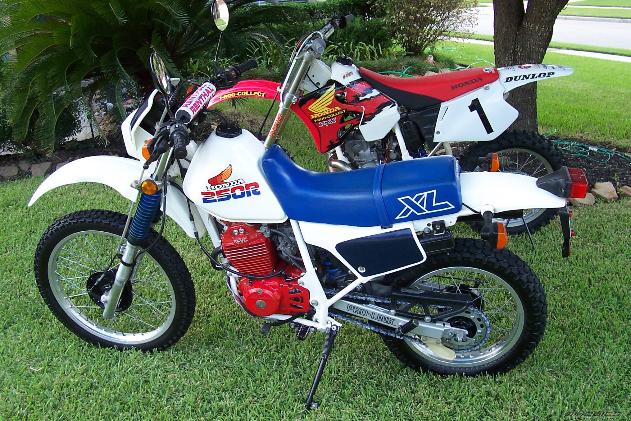 1986 HONDA XL 250 | Picture 2066869 motorcycle photo