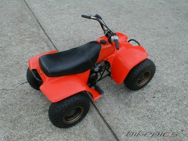1998 SUZUKI LT 50 | Picture 2067406 motorcycle photo