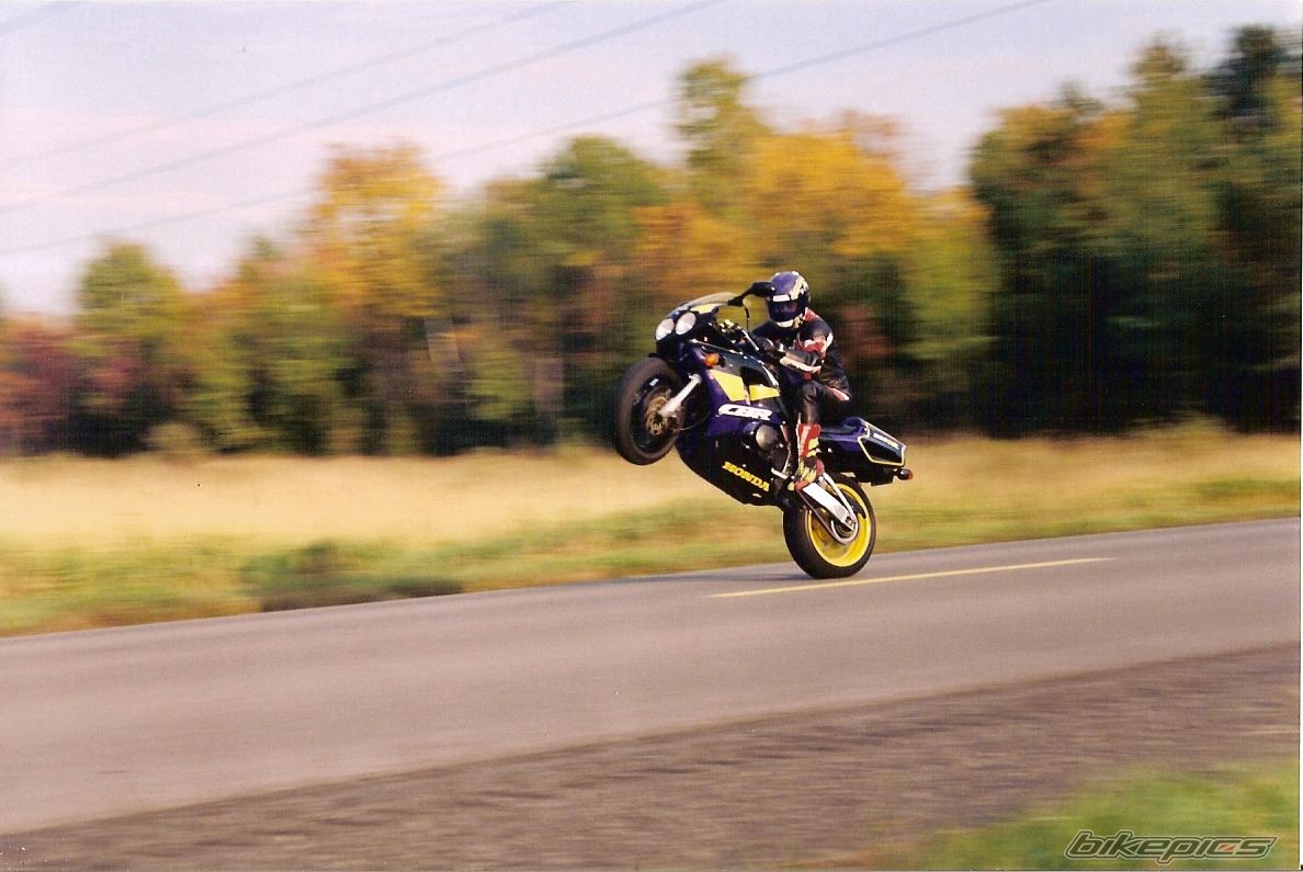 1994 HONDA CBR 900 | Picture 2067468 motorcycle photo